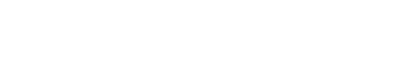 Auton Sistemi